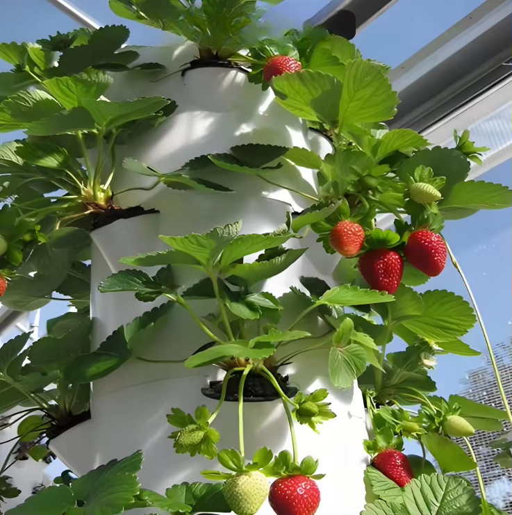 Modular hydroponic growth wall - Urban Farming Gardening recension och pris
